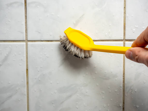 Best Commercial Mold Remediation in Fort Polk North, LA