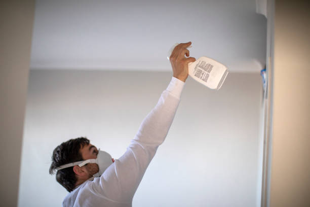 Best Industrial Mold Remediation in Fort Polk North, LA